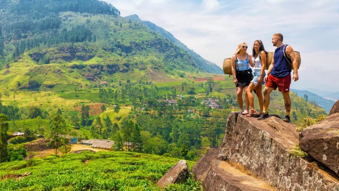 Eco-friendly tour image 1